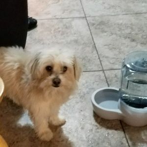 Meet your Posher, Rosaura